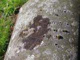 image of grave number 855060